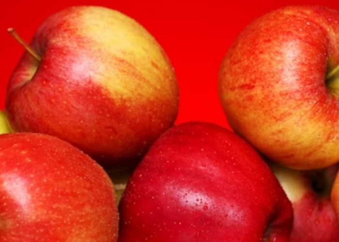 Khasiat Buah Apel Segar yang Bisa Mencegah 7 Penyakit, Yuk Simak Ulasannya!