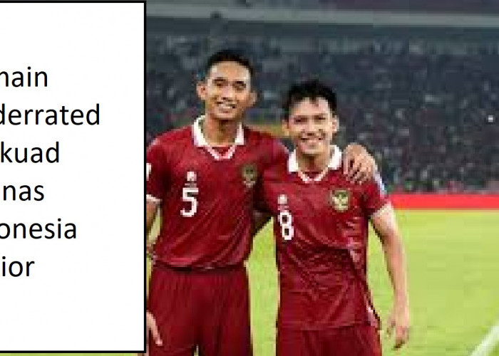 Ini Pemain Underrated di Skuad Timnas Indonesia Senior yang Main di Liga 1, Siapa?