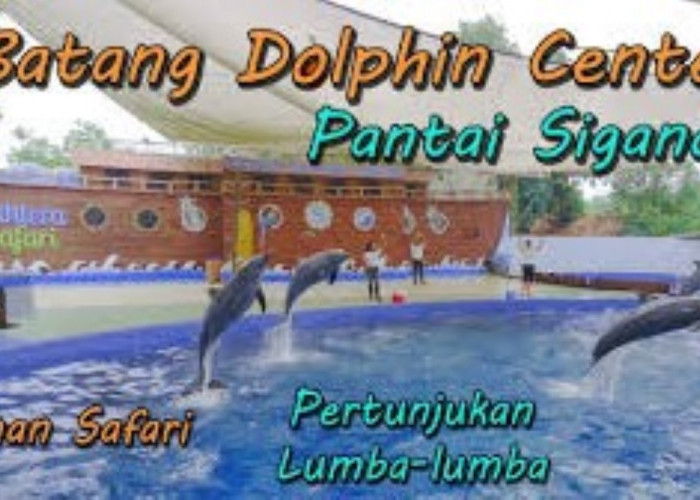 6 Daya Tarik dari Batang Dolphin Center yang Menjadi Salah Satu Taman Safari Terbesar di Jawa Tengah!