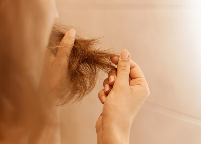Rambut Terlanjur Rusak? Ini 5 Cara Perawatan Alami Rambut Rusak Praktis, Bisa Pakai Bahan-Bahan Dapur Ternyata