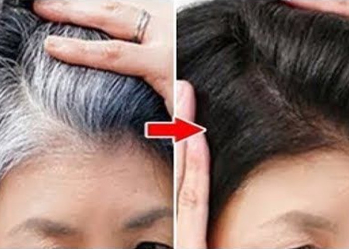 3 Racikan Daun Penghitam Rambut Beruban, Cuma Pakai Bahan Dapur Rambut Langsung Hitam Permanen