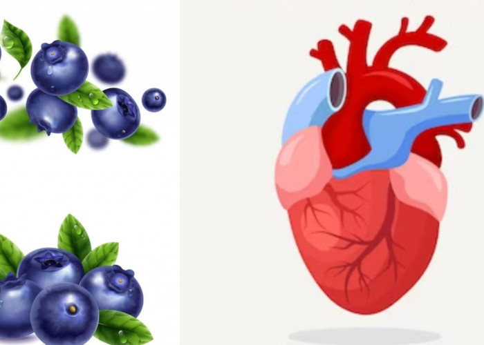 Catat Baik-baik! 5 Manfaat Blueberry untuk Tubuh, Bisa Mencegah Beragam Penyakit, Termasuk Jantung
