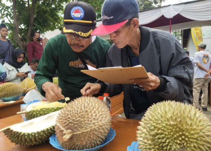 Kontes Durian Lokal Doro 2024, Durian Panji dari Desa Rogoselo Juara 1