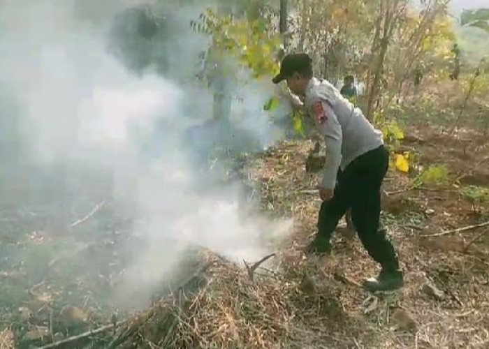 Hutan Pinus di Desa Bukur Kabupaten Pekalongan 5 Kali Kebakaran Dalam Sebulan