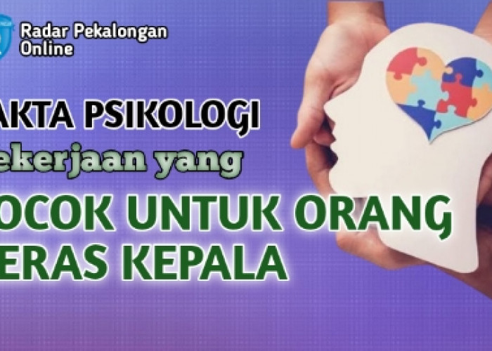 Mau Tahu Pekerjaan yang Cocok Untuk Orang Keras Kepala menurut Psikologi? Ini Daftar Pekerjaannya