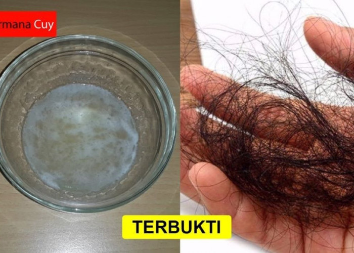 DIY Ramuan untuk Mengatasi Rambut Rontok, Pakai 1 Jenis Kacang-Kacangan Ini Nggak Takut Botak Lagi