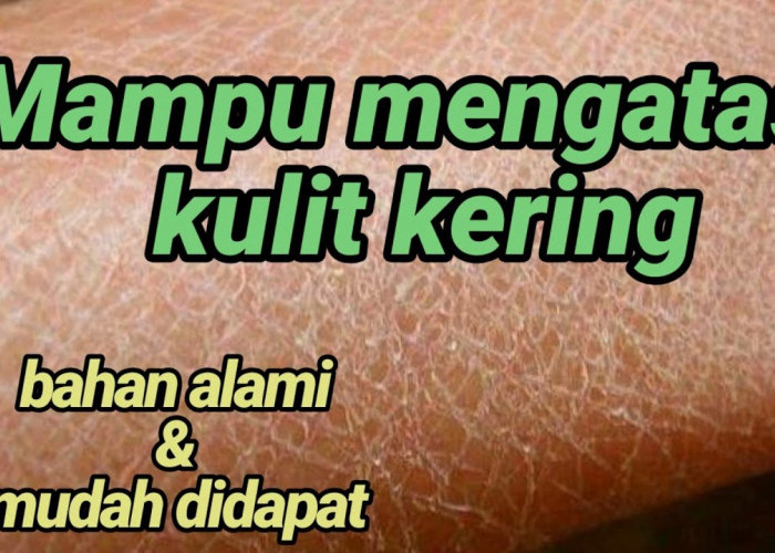 3 Rekomendasi Pelembap Alami untuk Kulit Kering Saat Puasa, Bikin Kulit Segar dan Glowing dengan 1 Bahan