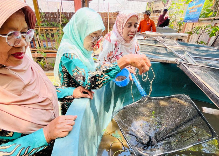 Lahan Sempit, UF.PI Krapyak Kembangkan Usaha Pangan hingga Produk Olahan