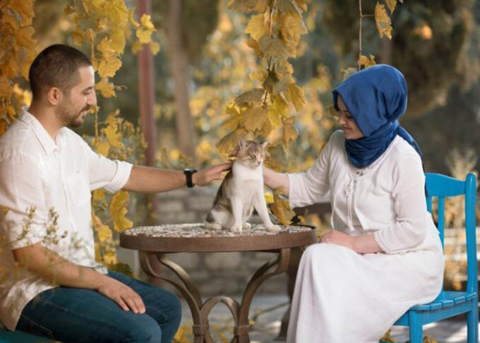 Hukum Memelihara Kucing dalam Islam: 5 Hal yang Harus Kamu Ketahui Sebelum Membawa Si Imut ke Rumahmu