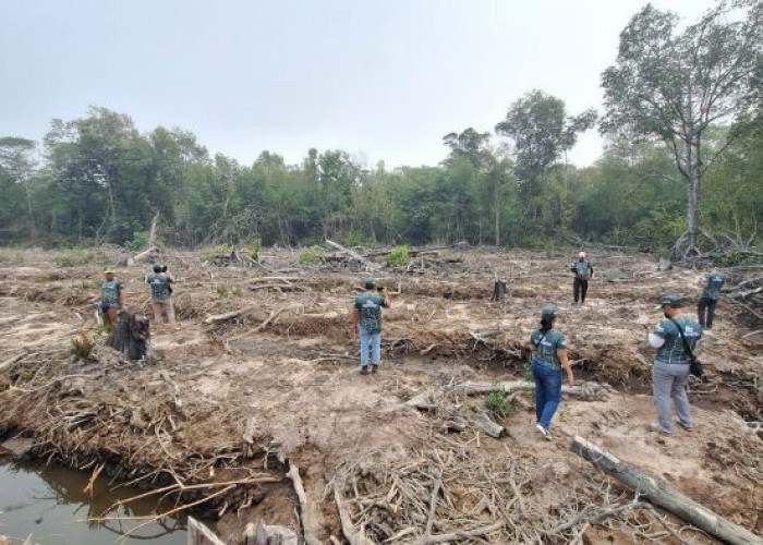 51 Orang Turun ke Lapangan Verifikasi Perubahan Tutupan Lahan di Ketapang