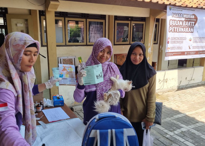 Dislutkanak Batang Berikan 200 Vaksin Rabies Gratis