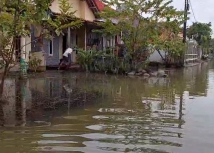 40 Hari Terendam, Warga Dukuh Buntek Pekalongan Jalani Ramadhan di Tengah Banjir