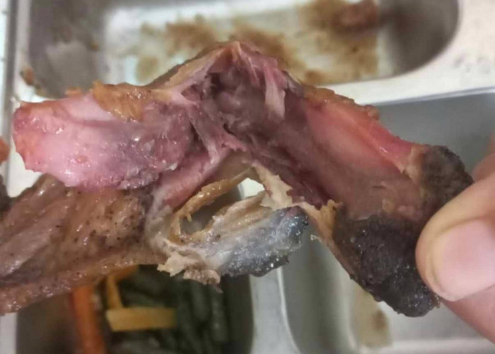 Ratusan Porsi MBG di Batang Dikembalikan ke SPPG, Daging Ayam Diduga Belum Matang Sempurna