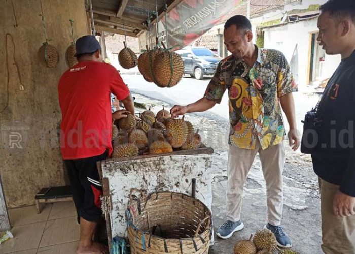 Tenang, Hasil Panen Durian di Kabupaten Pekalongan Diperkirakan Masih Melimpah