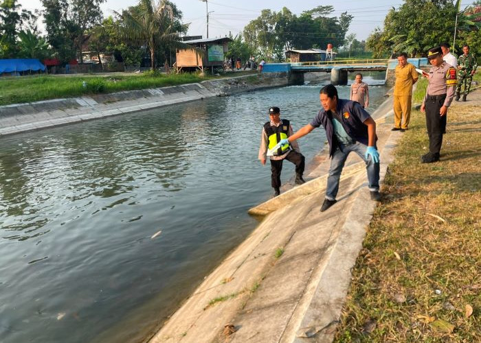 Warga Kesesi Geger! Pria 57 Tahun Ditemukan Tewas Mengapung di Sungai Sidomulyo, Polisi Ungkap Penyebabnya