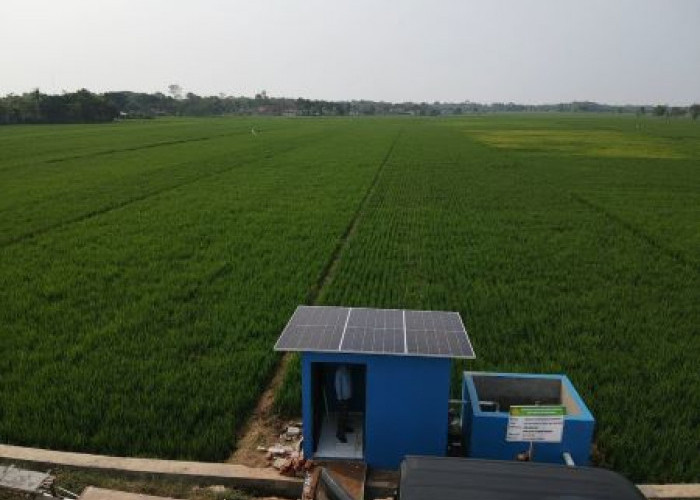 Pemkab Pekalongan Tetapkan 17.261,97 Hektare LP2B, Sawah Dilindungi untuk Perkuat Lumbung Pangan Jateng