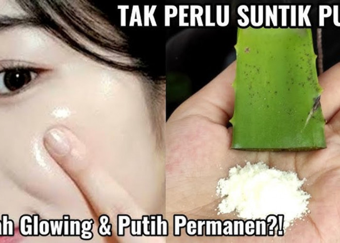 DIY Masker Lidah Buaya Pemutih Wajah dalam 1 Malam, Begini Cara Buatnya