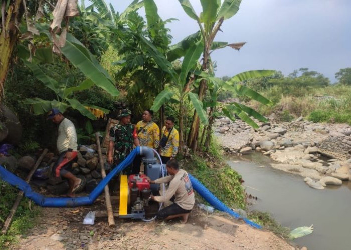 Atasi Sawah Kekeringan, DKPP Kabupaten Pekalongan Bantu Pompa untuk Petani di Desa Kalimojosari