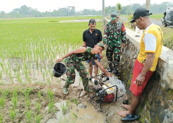 TNI Gandeng Pemdes Selamatkan Lahan Pangan Terimbas Tol