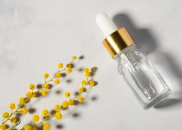 5 Rekomendasi Serum Ferulic Acid Agar Kulit Awet Muda, Tampak Segar dan Cerah Bebas Noda Hitam