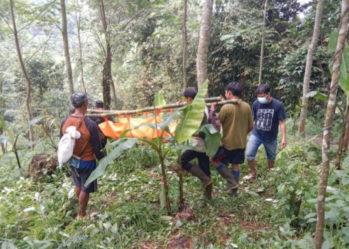 Mayat Perempuan Tanpa Busana Lengkap Ditemukan Warga Pakuluran di Hutan Ndayugo Pekalongan