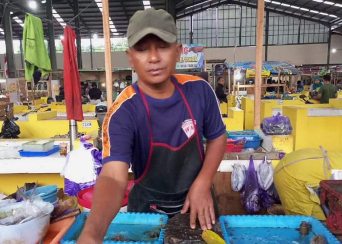 Usai Lebaran, Harga Ikan Laut Melonjak Drastis di Pasar Wiradesa