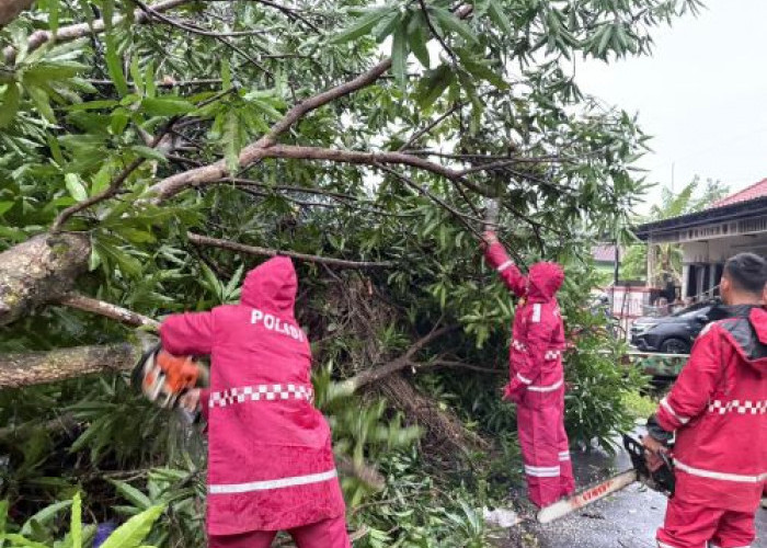Polres Pekalongan Terjunkan Tim Evakuasi ke Titik Puting Beliung dan Pohon Tumbang, 30 Rumah di Bukur Rusak