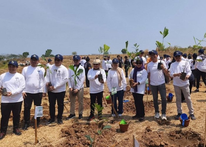 Dukung Transisi Energi Bersih, KEK Industropolis Batang Tanam Ribuan Pohon Aren untuk Bahan Baku Bioetanol