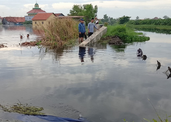 Tanggul Kali Bremi Jebol 35 Meter, Ratusan Rumah di Padukuhan Kraton Pekalongan Utara Terendam Banjir