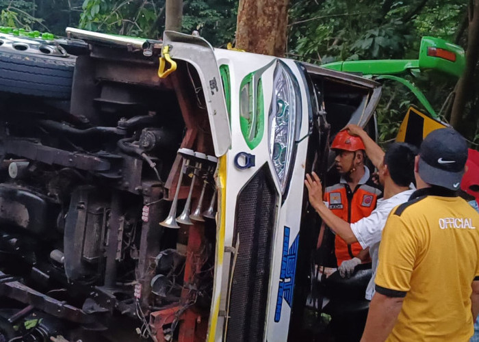 Diduga Rem Blong, Bus Rombongan Pengantin Terguling di Linggoasri Pekalongan, 1 Tewas, Puluhan Luka-luka