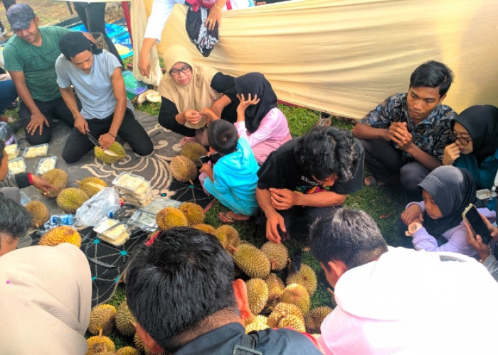 Petani Durian Sumringah, Hasil Panen Melimpah dengan Penjualan Meningkat