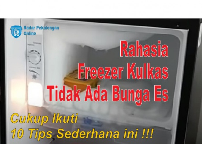 Rahasia Freezer Kulkas Tidak Ada Bunga Es : 10 Tips Sederhana untuk Kulkas yang Lebih Awet!