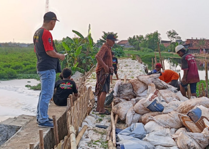 Gercep! DPUPR Kota Pekalongan Tutup Tanggul Jebol Kali Bremi Pabean, 3.000 Sandbag Dikerahkan