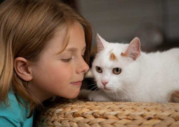 Pecinta Kucing Wajib Tahu, Inilah Ras Kucing Terkecil di Dunia, Apakah Ada di Rumahmu?