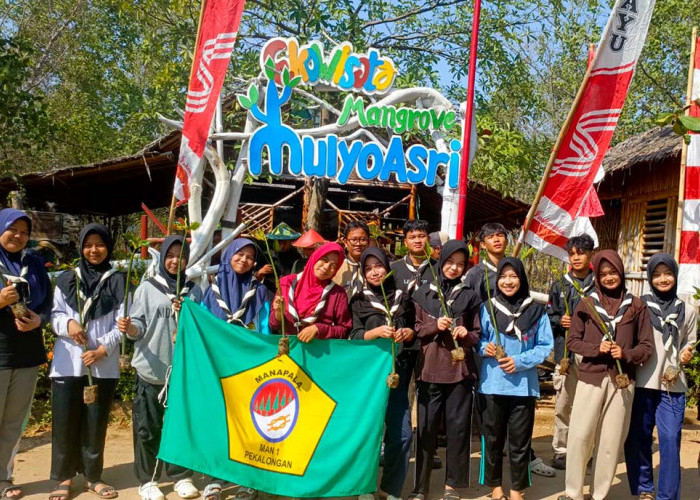 Aksi Nyata Pelajar MAN 1 Pekalongan 'Nyemplung' Tanam Mangrove di Mulyorejo Demi Cegah Rob