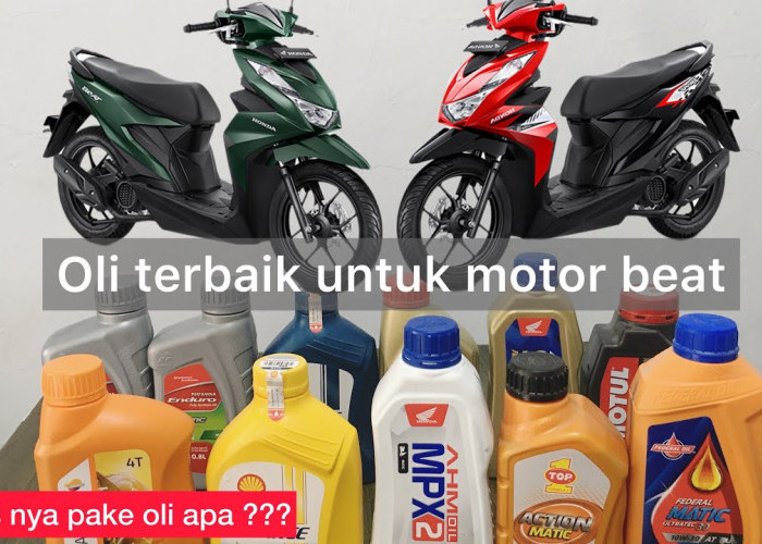 Terbaik! Inilah 8 Rekomendasi Oli Untuk Motor Matic Honda BeAt yang Berkualitas, Biar Makin Gesit