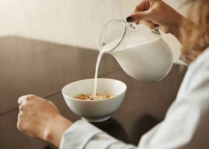 Rendah Gula, Inilah 6 Produk Susu Terbaik Cegah Osteoporosis untuk Lansia 