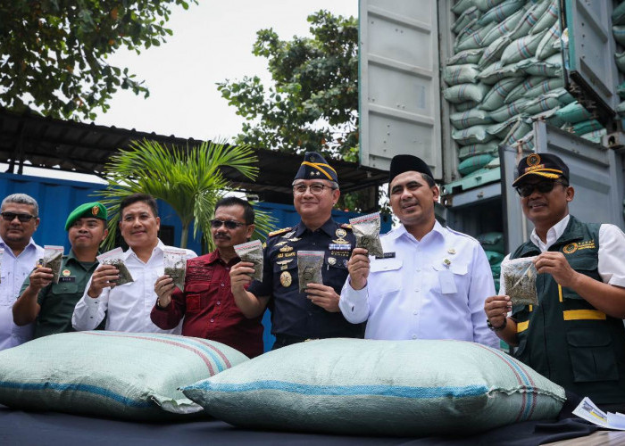 Penyelundupan 90,2 Ton Kratom Terbongkar di Tanjung Emas Semarang, Wagub Jateng Dukung Penuh Penegakkan Aturan