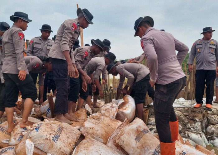 Respons Cepat Brimob Polda Jateng Tangani Tanggul Jebol di Wonokerto Pekalongan