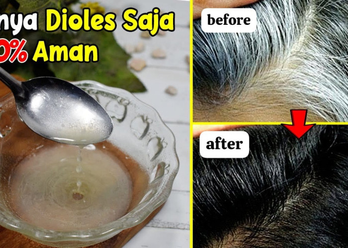 3 Cara Menghitamkan Rambut dengan Minyak Zaitun, Uban Hilang Permanen Sampai Akar Tanpa Harus Dicabut