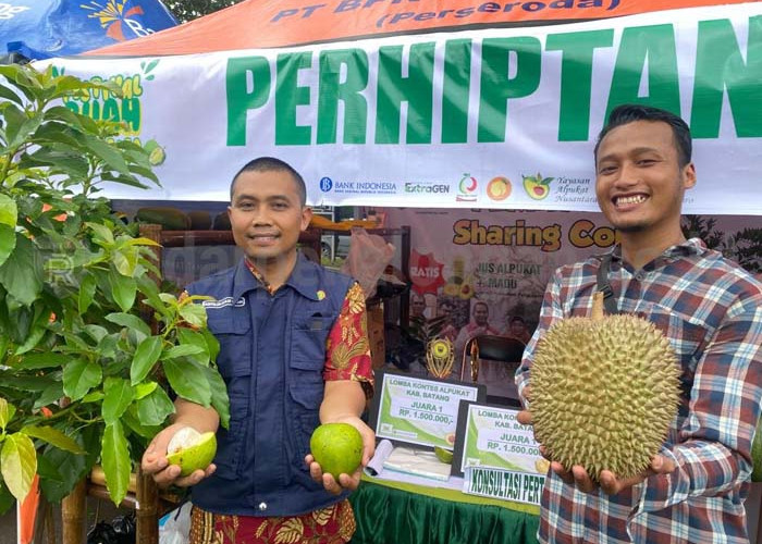 Berkualitas Supermarket, Alpukat AWE Juarai Festival Buah Nusantara