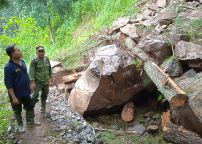 Jalan Lebakbarang - Kutorembet di Pekalongan Tertutup Longsor