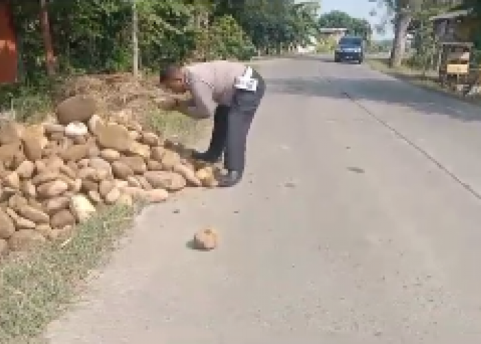 Bahayakan Pengguna Jalan, Polisi di Pekalongan Ini Pindahkan Material Proyek Berupa Batu di Badan Jalan 