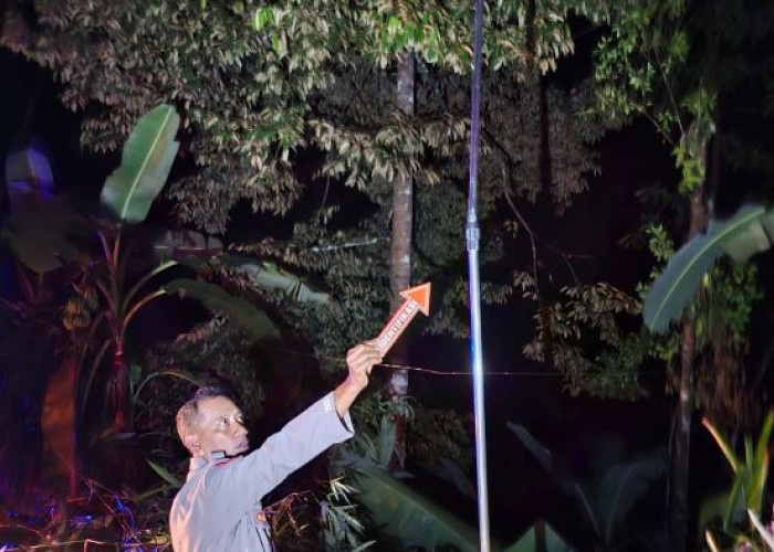 Rapikan Kabel WiFi di Malam Hari, 2 Pemuda di Pekalongan Tersengat Listrik Tegangan Tinggi