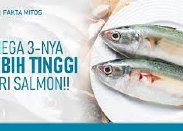 5 Jenis Ikan yang Bisa Dimakan Penderita Batu Ginjal, Aman Dimakan Tanpa Takut Akan Sakit Ginjal