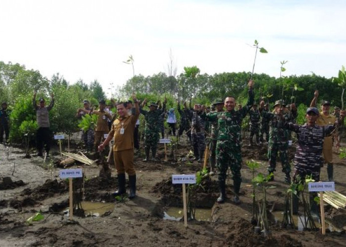 Abrasi Pantai Wonokerto Kian Parah, Kodim 0710/Pekalongan Tanam Ribuan Bakau