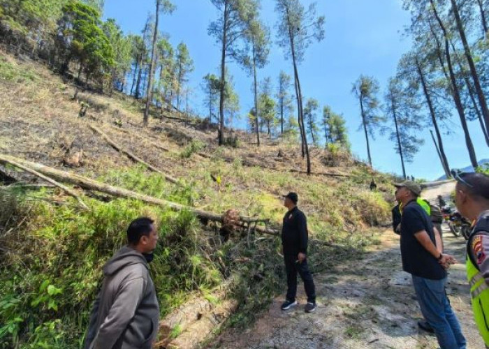 Kebakaran Hutan Petungkriyono Padam! Sekda Turun Langsung, Bara Tersembunyi Masih Diburu
