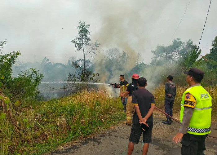Bakar Sampah Kasur Bekas, Lahan Rumput di Kajen Terbakar