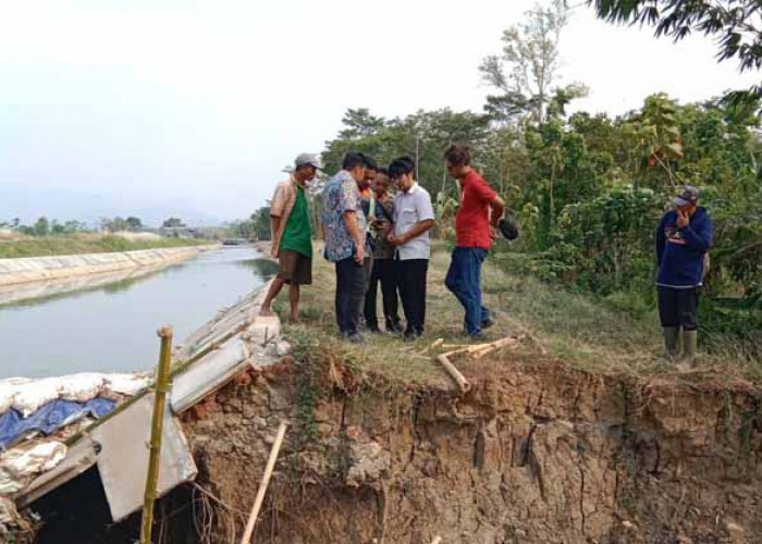 Dampak El Nino, Debit Air Daerah Irigasi Sragi Turun