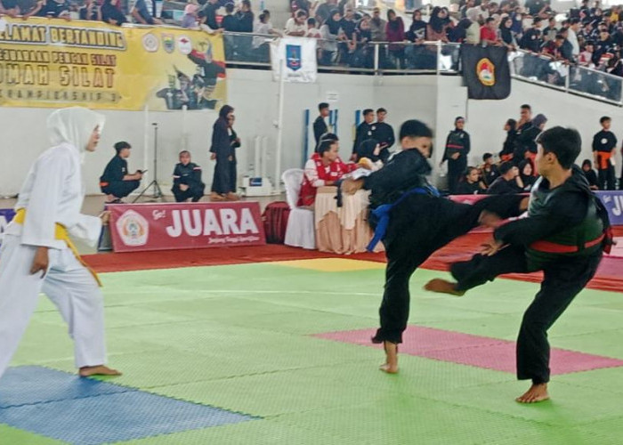 Ratusan Pesilat Saling Adu Jurus di Batang, Pada Kejuaraan Omah Silat Championship 3